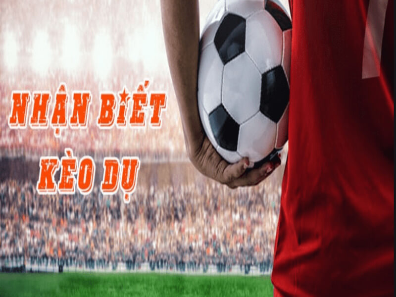 Can can than nhung keo du ma nha cai dua ra 7 - kèo lựa là gì