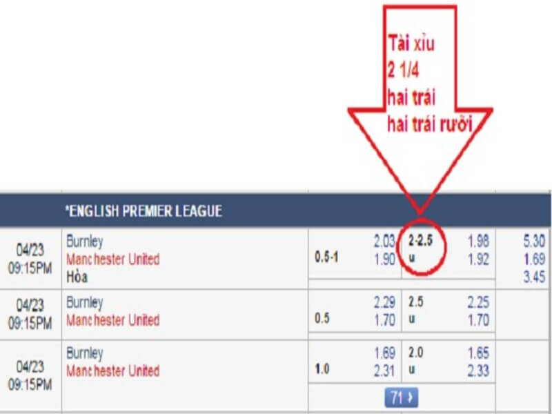 Keo ca do tai xiu 2 1 4 con duoc biet den la keo hai trai hay hai trai ruoi 1 - tài xỉu 2 1/4 là sao