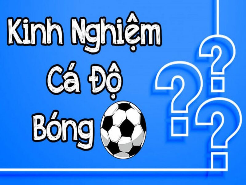 Kinh nghiem cho anh em ca do la nen biet lua chon thoi diem dat keo 5 - kèo tài xỉu 2 3/4