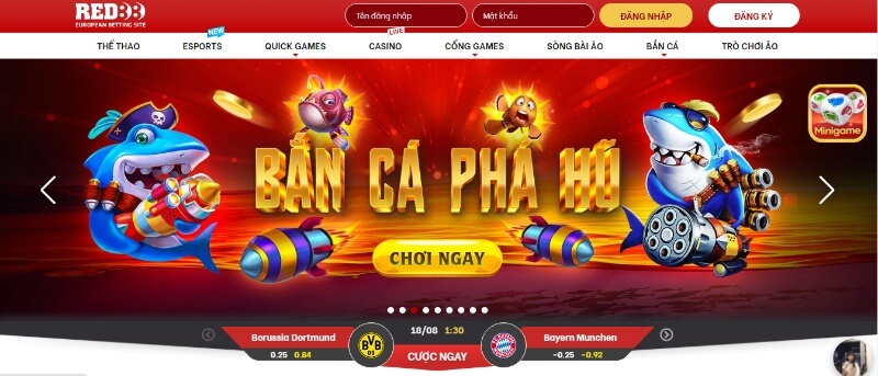 Một số câu hỏi thường gặp tại nhà cái RED88